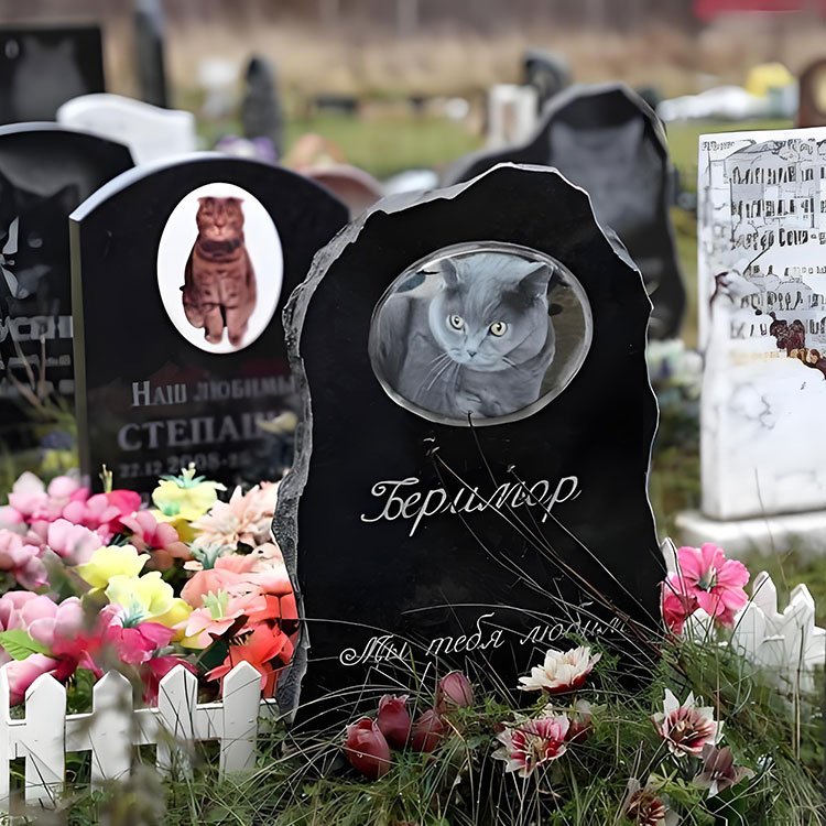 आधारभूत नामहरू भन्दा बाहिरको अनुकूलन विकल्पहरूले के समावेश गर्दछ?